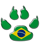Discover Brazilian patriotic dog