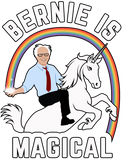 Discover Bernie Is Magical