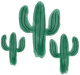 Discover Watercolor Cactus Trio
