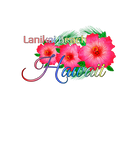 Discover Lanikai Beach Hawaii Tropical Flowers Family Vacat