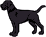 Discover Dogs - Black Labrador Breed Or Black Lab T-Shirts