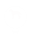 Discover Funny Dalmatian Dog T-Shirts