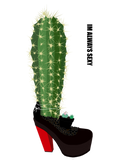 Discover Sexy Cactus