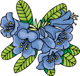 Discover light_blue_flowers