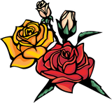 Discover colorful_roses