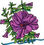 Discover purple_flower_and_blue_line
