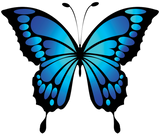 Discover Bright blue butterfly T-Shirts