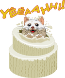 Discover Kitten coming out of the cake