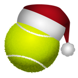 Discover Christmas Tennis Ball Santa Hat