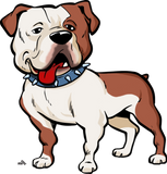 Discover American Bulldog cartoon dog T-Shirts