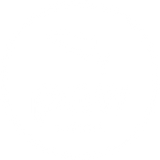 Discover PNW Salmon Lifestyle T-Shirts