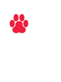 Discover all you need is and a dog name T-Shirts