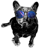 Discover Dog Love ➢ French Bulldog + Sunglasses + Galaxy T-Shirts