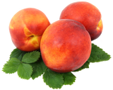 Discover peach nectarines pfirsiche nektarinen fruits obst1 T-Shirts
