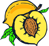 Discover peach pfirsich veggie gemuese fruits18 T-Shirts