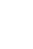 Discover Arctic Puffin T-Shirts