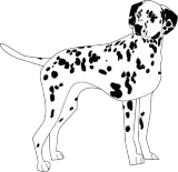 Discover dalmatian dalmatiner hune dogs animals tiere T-Shirts