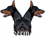 Discover Doberman,Dog,dog head,dog face,dog breed,doge, T-Shirts