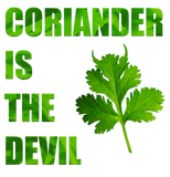 Discover coriander herb