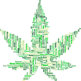 Discover Marijuana Words Leaf 420 Cannabis Weed Ganja Herb T-Shirts