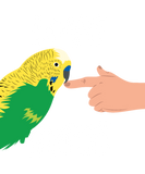 Discover Parakeet T-Shirts Love Hurts Funny Gift Men Women Kid