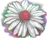 Discover Daisy Watercolor T-Shirts