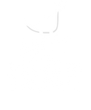 Discover Niece Saurus Niecesaurus Dino T-Shirts