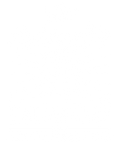 Discover Dalmatian T-Shirts