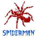 Discover Spiderman T-Shirts