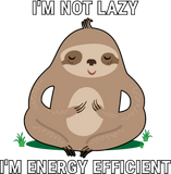 Discover I'm Not Lazy I'm Energy Efficient