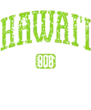 Discover Hawaii Area Code 808 Honolulu Maui swim T-Shirts