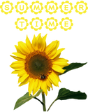Discover summertime - sunflower (yellow) T-Shirts