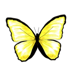 Discover Yellow Butterfly Citrus Limited Yellow Edition T-Shirts