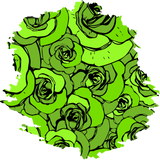 Discover Flower Green Rose