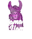 Discover Mama Llama Cute Animal Alpaca Family Matching T-Shirts