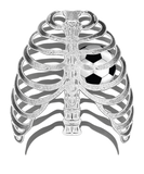 Discover Skeleton X-ray Ribcage Soccer Ball Heart T-shirt