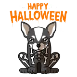 Discover Happy Halloween Chihuahua Skeleton Dog Costume T-S T-Shirts