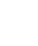 Discover Texas Vintage State Graphic Retro Hometown V Neck T-Shirts