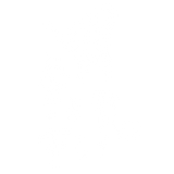 Discover Butterfly T-Shirts