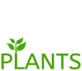 Discover Sometimes I Wet My Plants T-Shirts