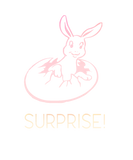 Discover surprise bunny