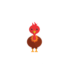 Discover thanksgiving little turkey