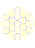 Discover flower of life blue and yellow