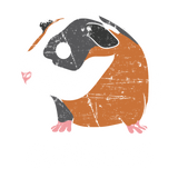 Discover Guinea Pig T-Shirts