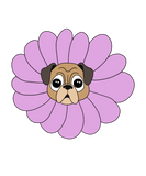 Discover Pug flower Dog Lily Present Cute Carton Girl Wife