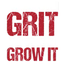 Discover The Struggle Is Really Beneficial Teacher Growth T-Shirts