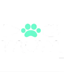 Discover wifey dog mom nurse medical pharmacy mom T-Shirts