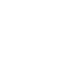 Discover Cat Black Cats Pet Animal Love Gift T-Shirts