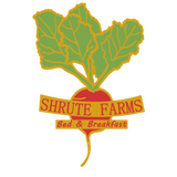 Discover Schrute Farms Beats Dunder Mifflin Michael Scott T-Shirts