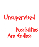 Discover Unsupervised Possibilities Endless Sarcastic T-Shirts
